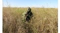 Маскировочный халат Taganrog Кикимора – купить по цене 3550 руб. в интернет-магазине в городе Тверь картинка 13